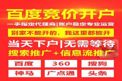 SEM推广代运营案例深度剖析